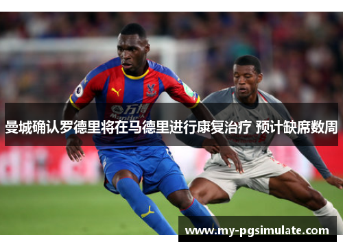 曼城确认罗德里将在马德里进行康复治疗 预计缺席数周 曼城确认罗德里将在马德里进行康复治疗 预计缺席数周